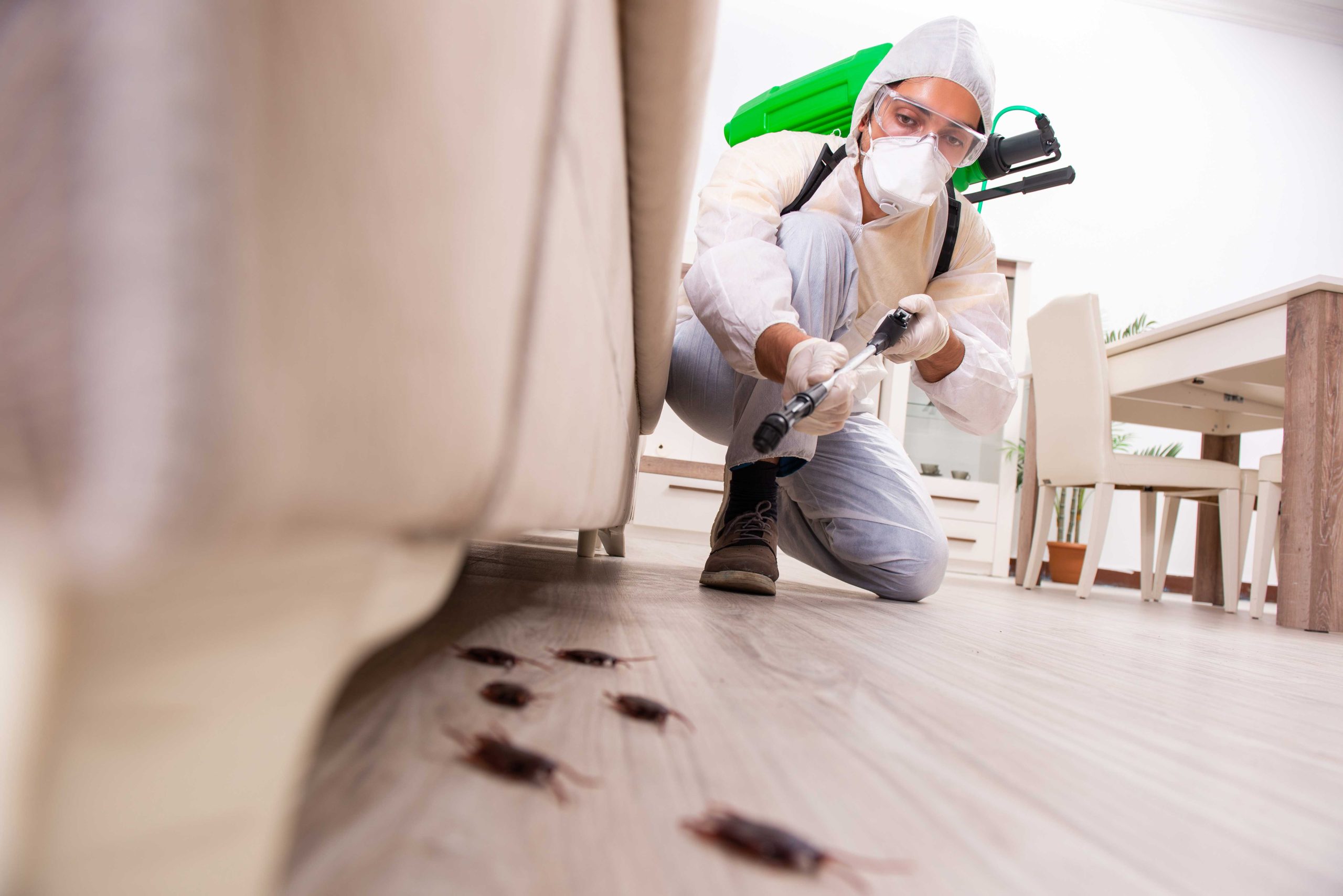 Pest control professional in Gulfport, MS getting rid of termites.